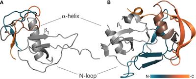 Immunomodulatory Proteins in Tick Saliva From a Structural Perspective